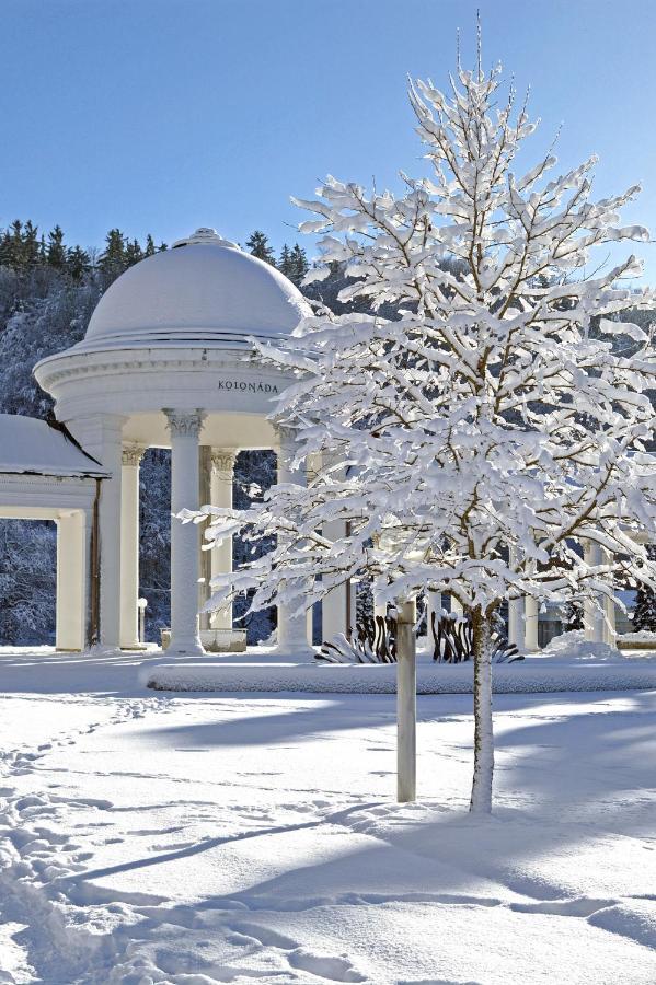 Ensana Butterfly Hotel Mariánské Lázně Екстериор снимка